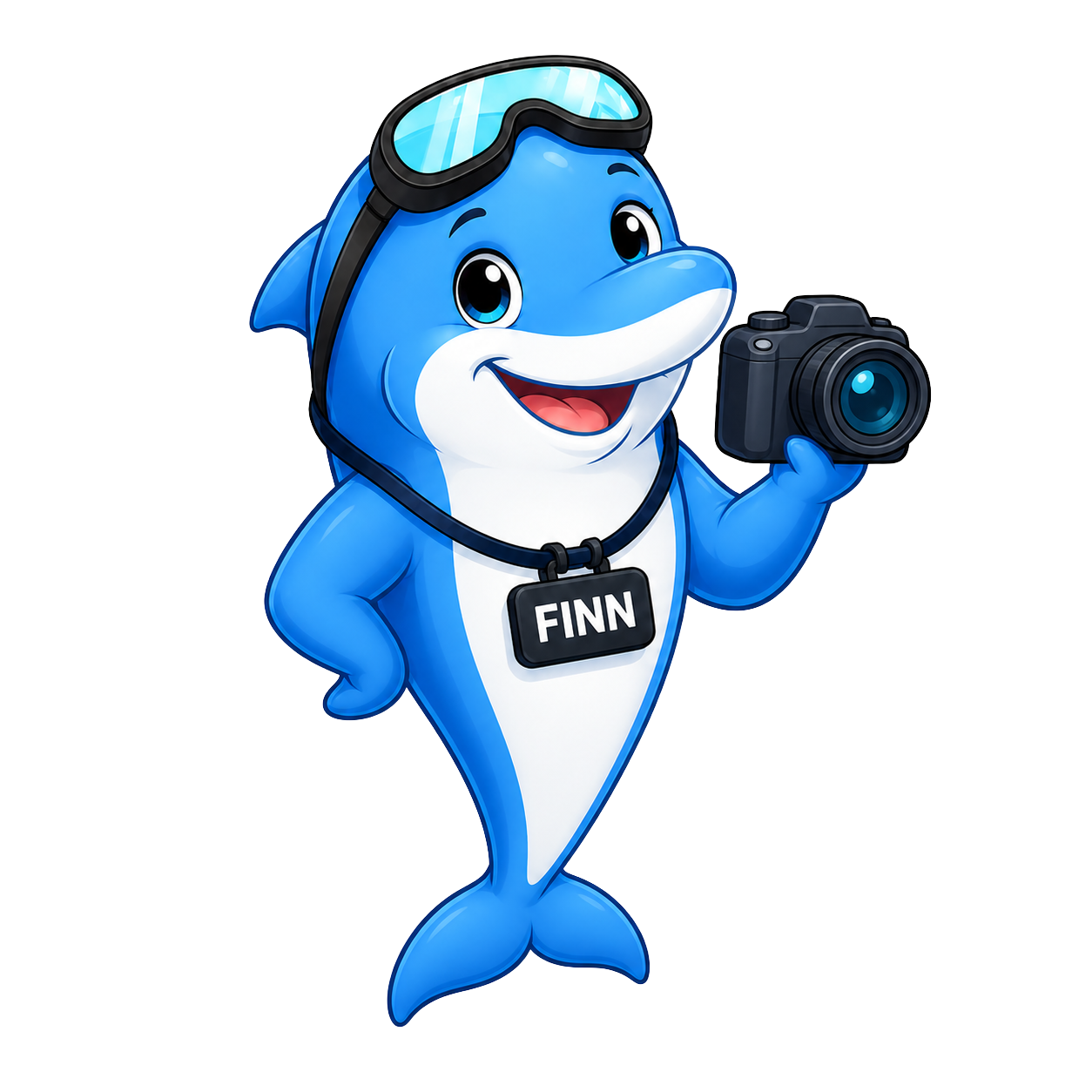 Finn the dolphin with a camera
